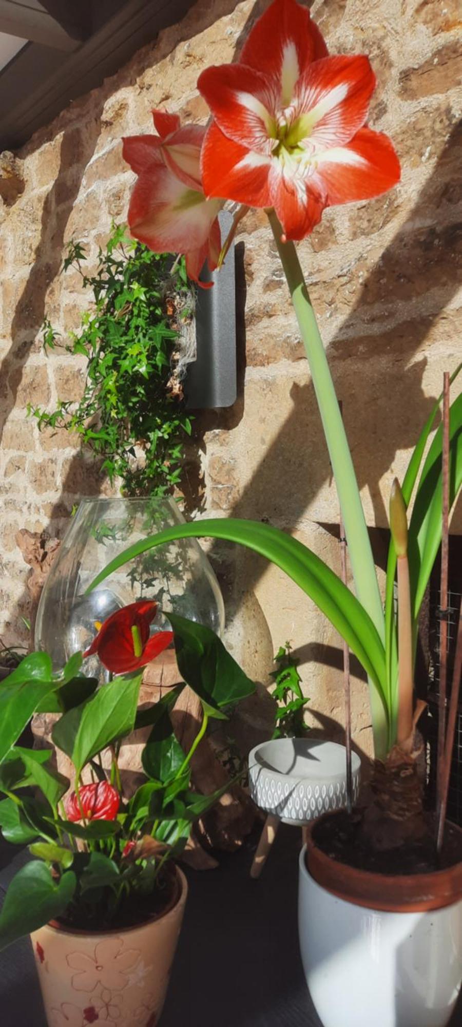 Hotel Les Etangs Du Moulin D'Harcy Lonny Esterno foto